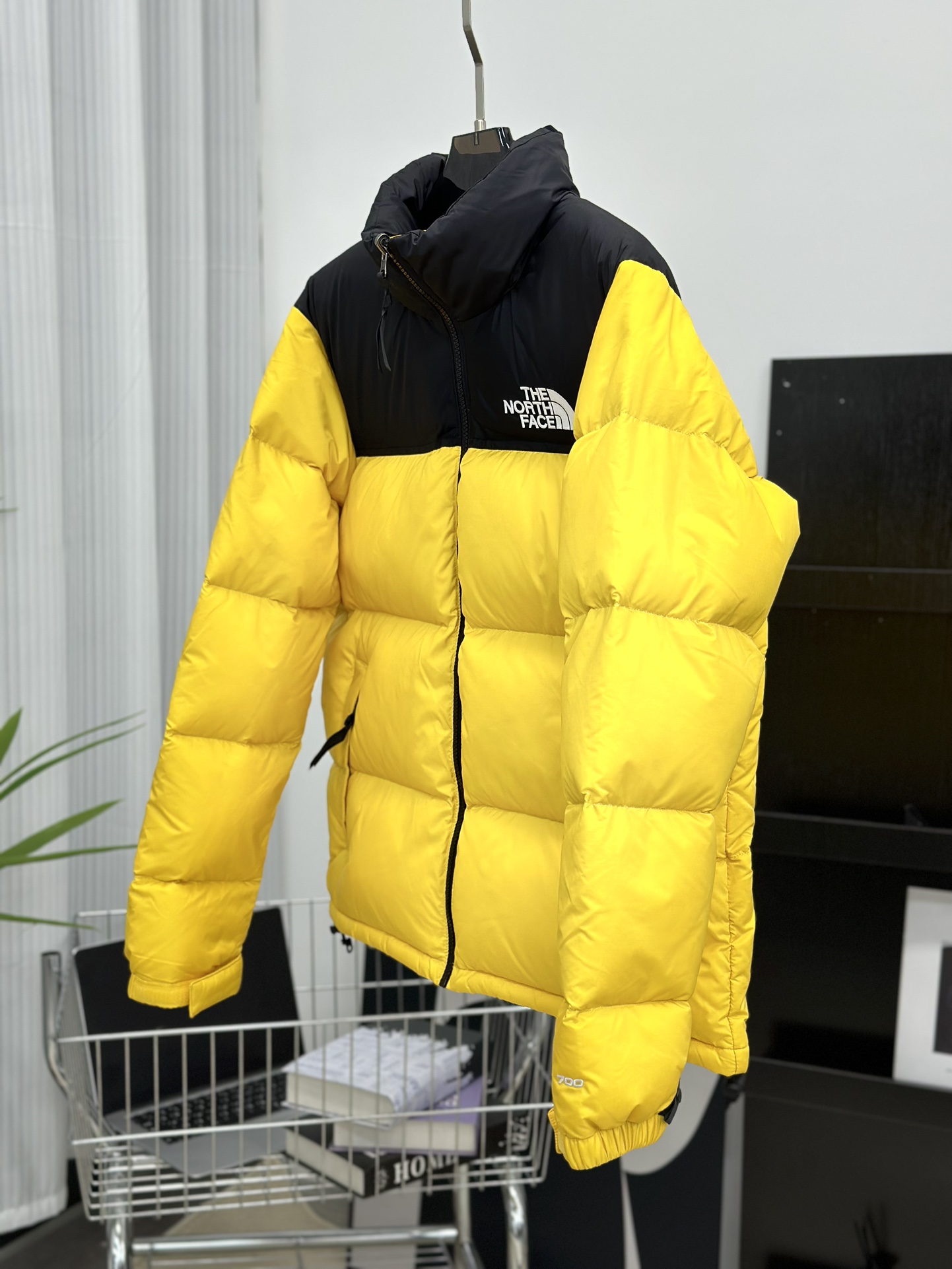 The North Face Down Jackets